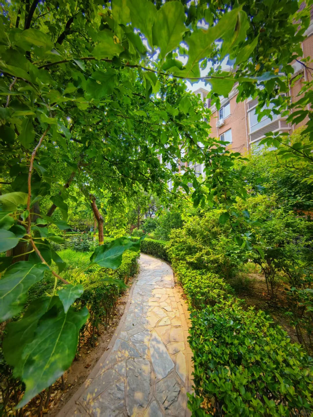 东城二环内六层电梯洋房，一层带院环境实拍