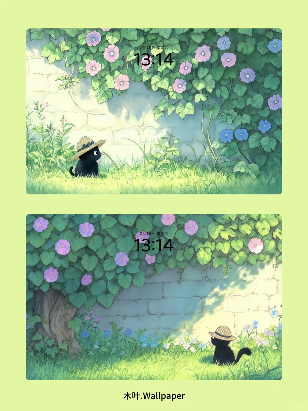 小黑猫的喇叭花呀｜W039
