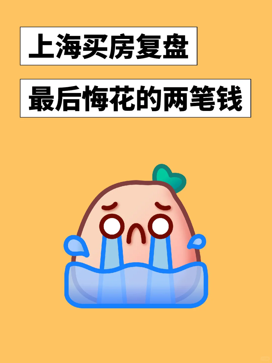 上海买房复盘-最后悔花的两笔钱