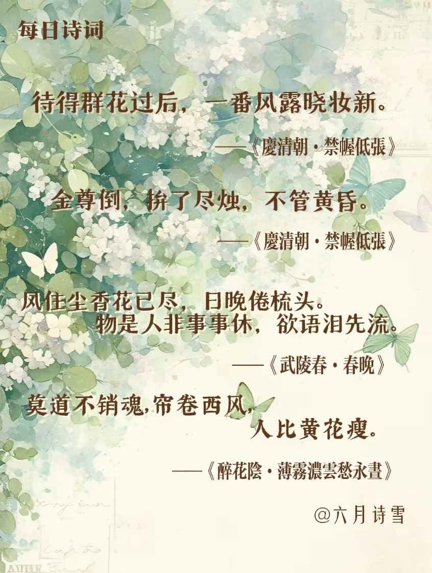 婉约词宗，千古才女李清照的唯美珏韵