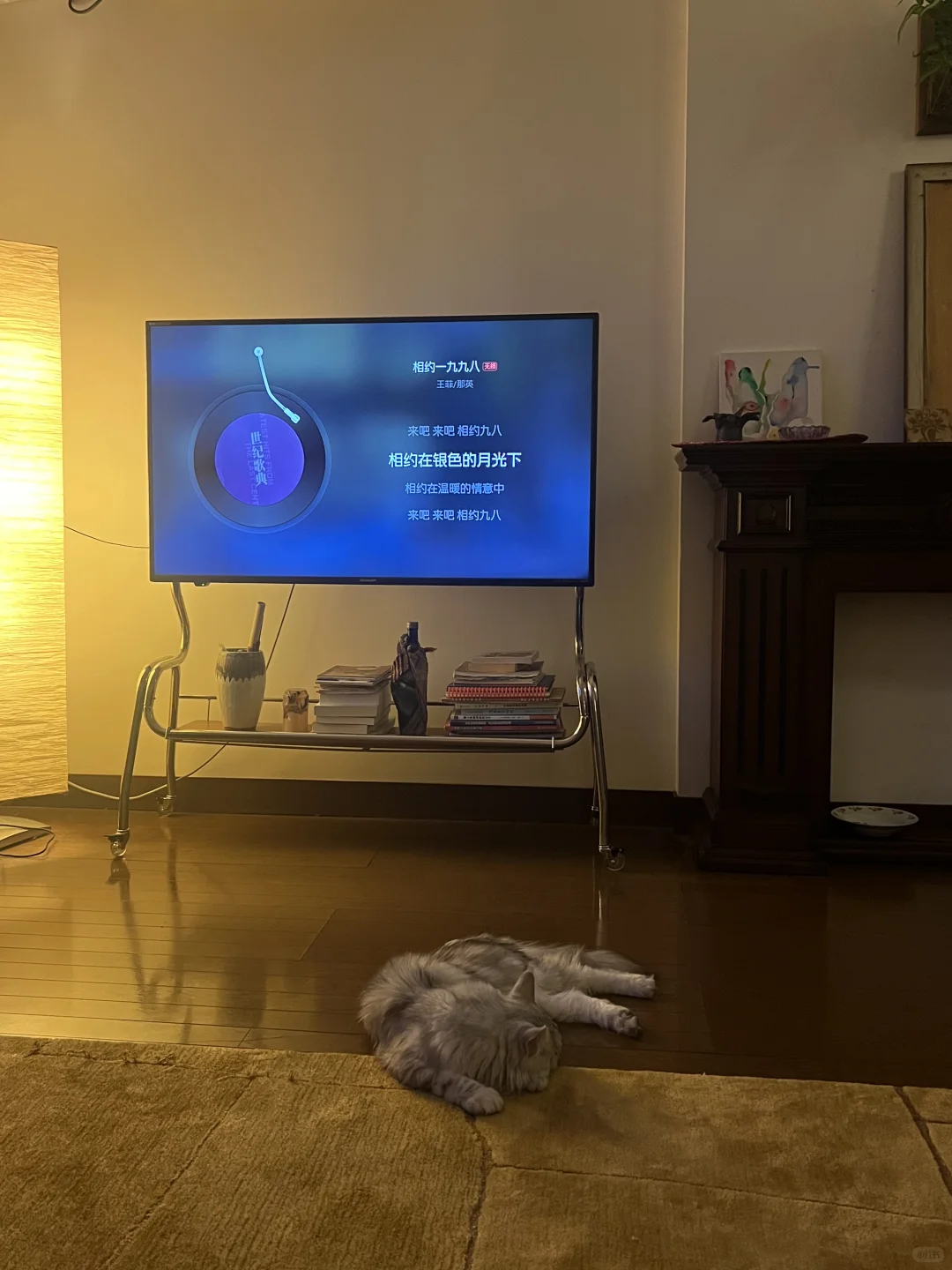 左滑看美丽女人们的夜晚☾