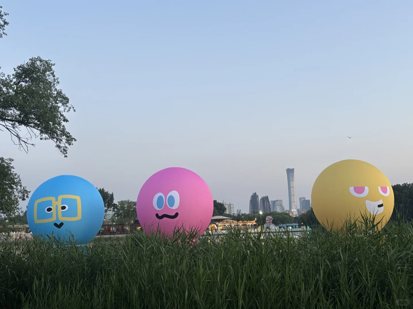 随缘求租朝阳公园西门南门附近一居室！