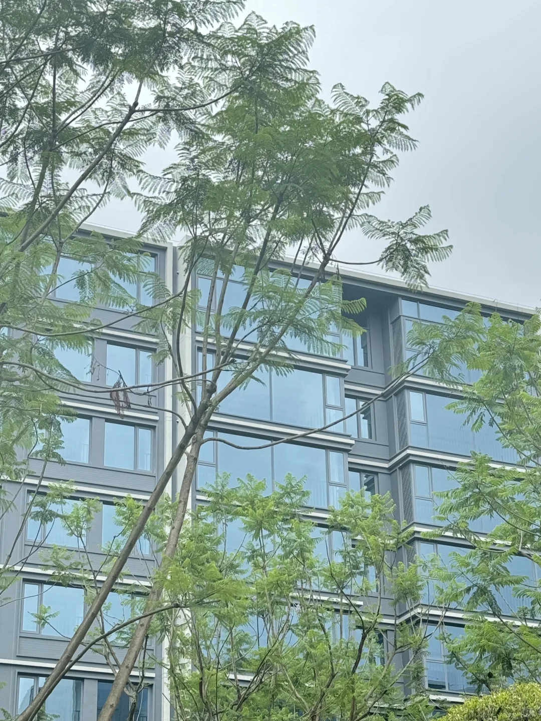 重庆‖绿城洋房 首付6万全屋家具家电齐全