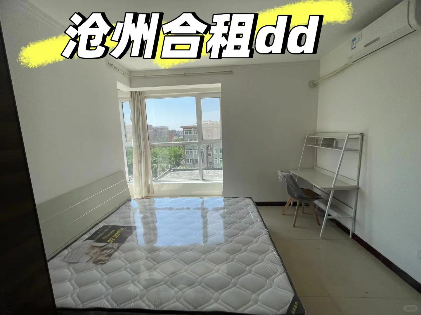 合租dd