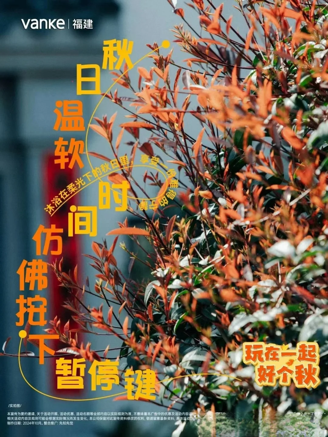 地产界写秋天🍁向小红书的诗意化看齐