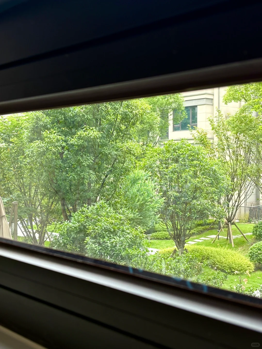 我买了没人要的2楼