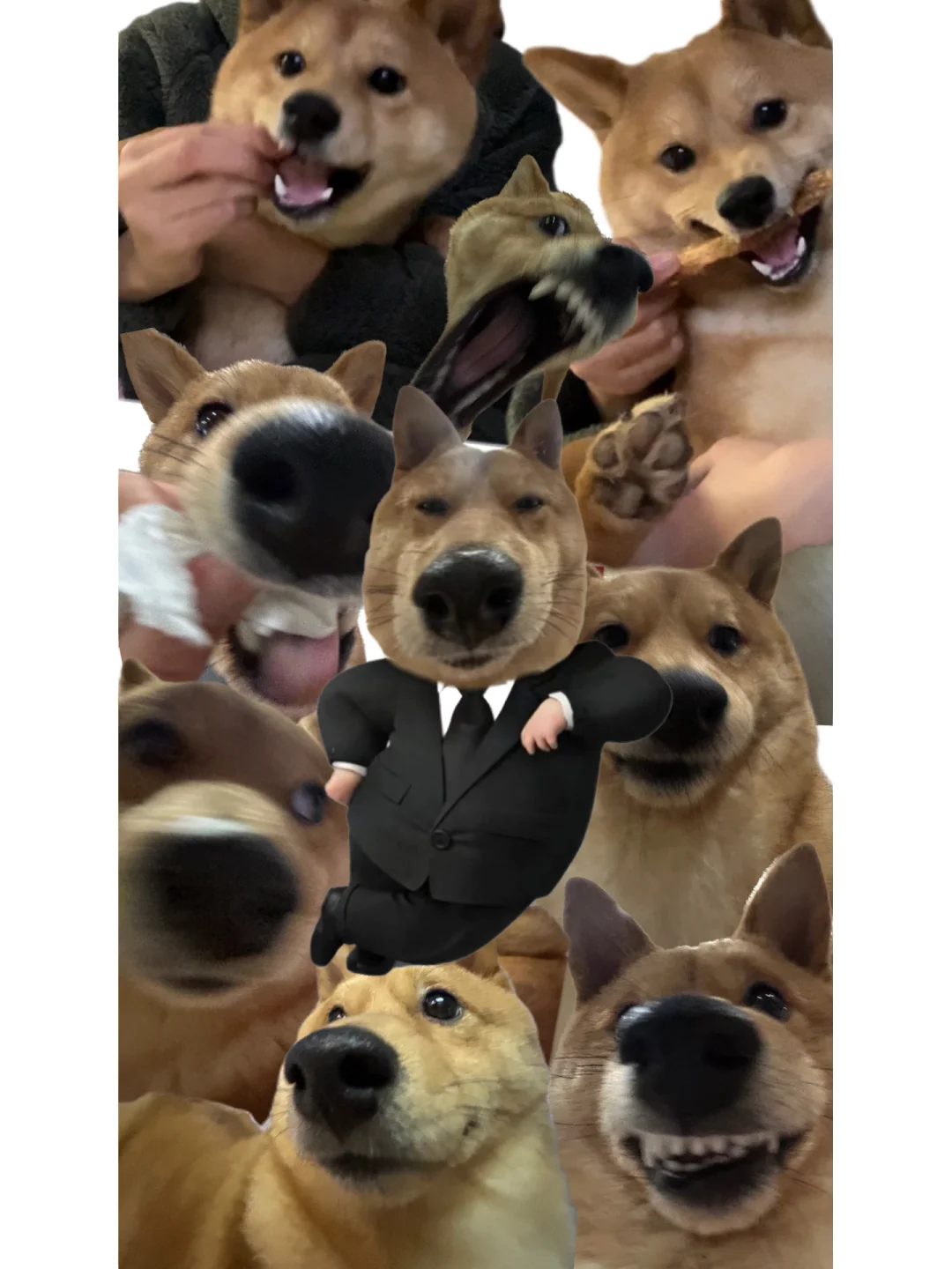你们还想看什么系列壁纸