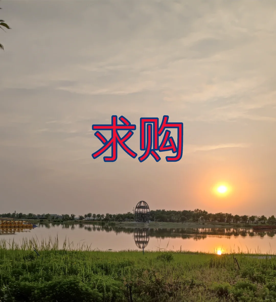 求购一套二手房，衡水市饶阳县