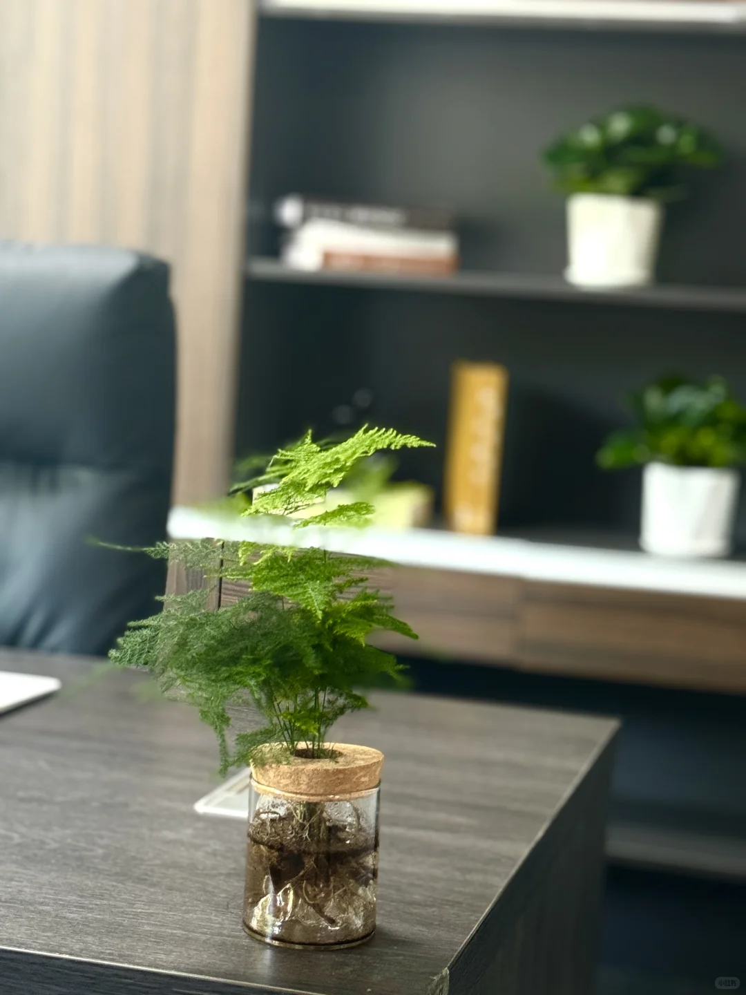 谁懂啊家人们 在这种地方办公 都不想下班了