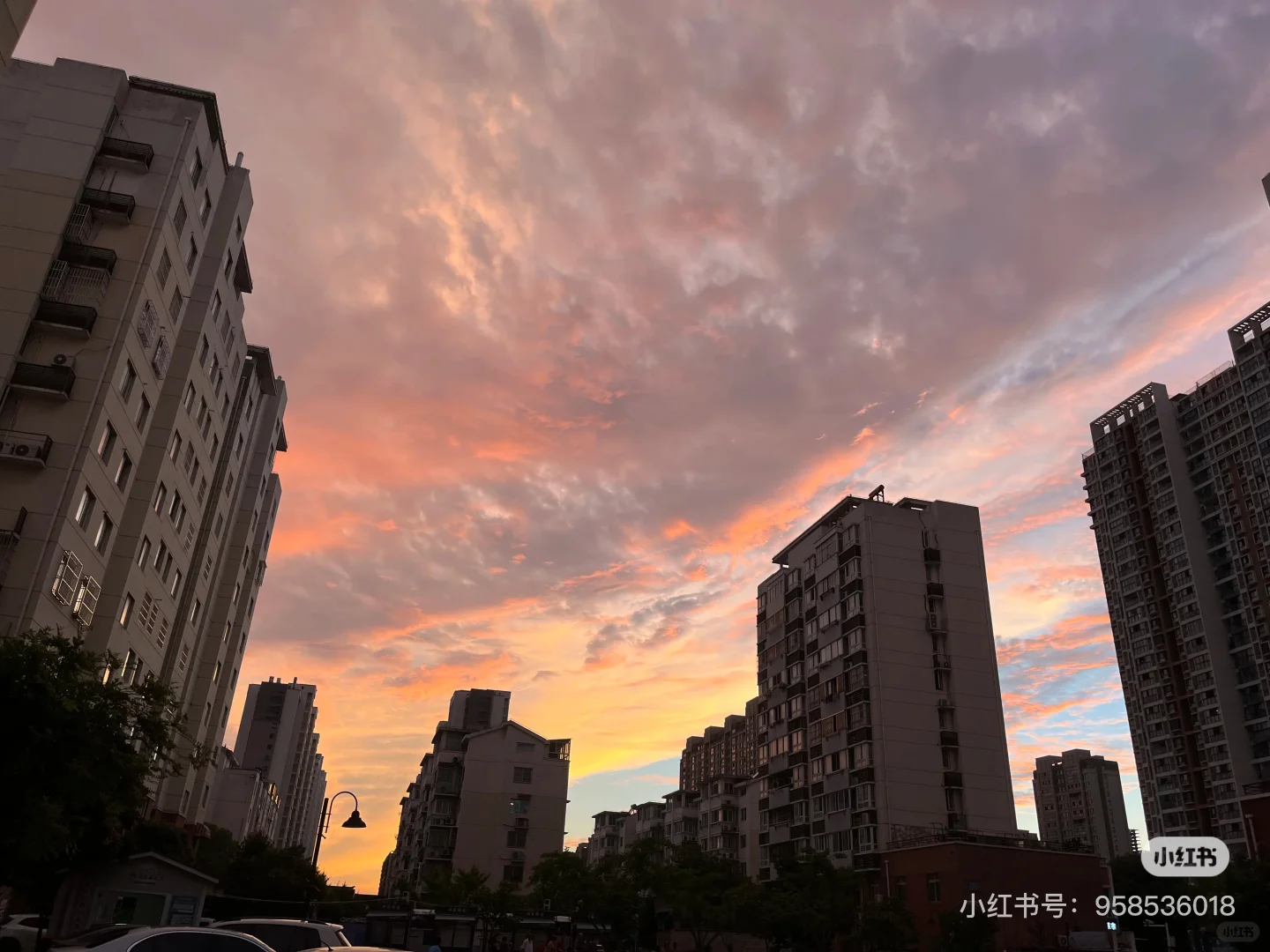 苏州卖房 两室一厅