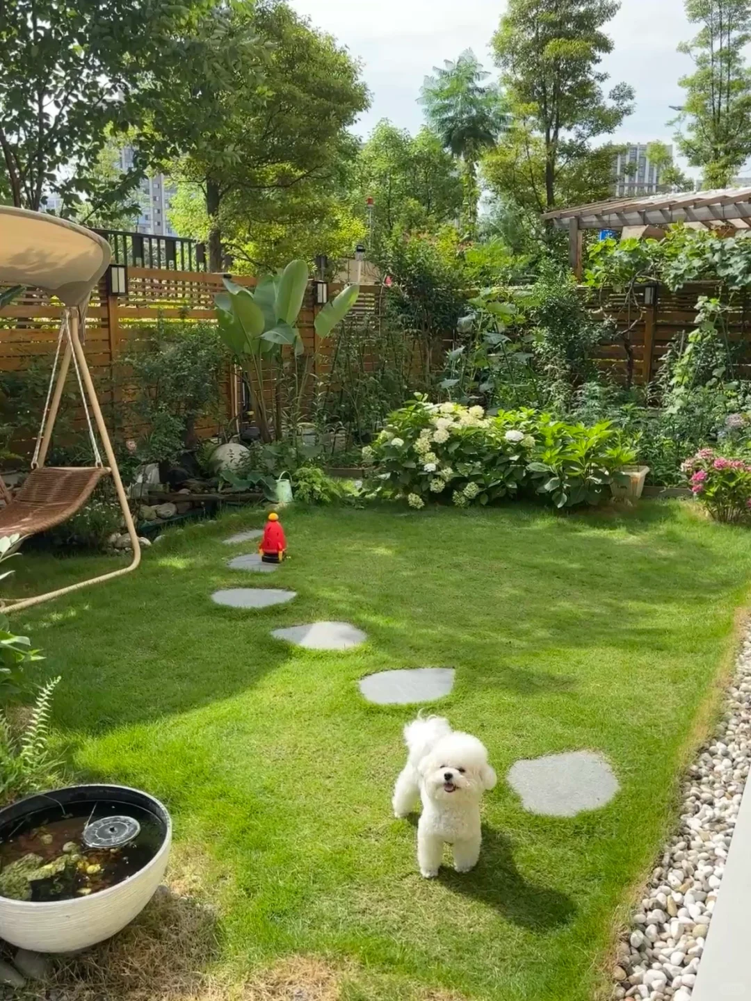 夏天，没有蚊虫烦恼的院子房住着好幸福☺️