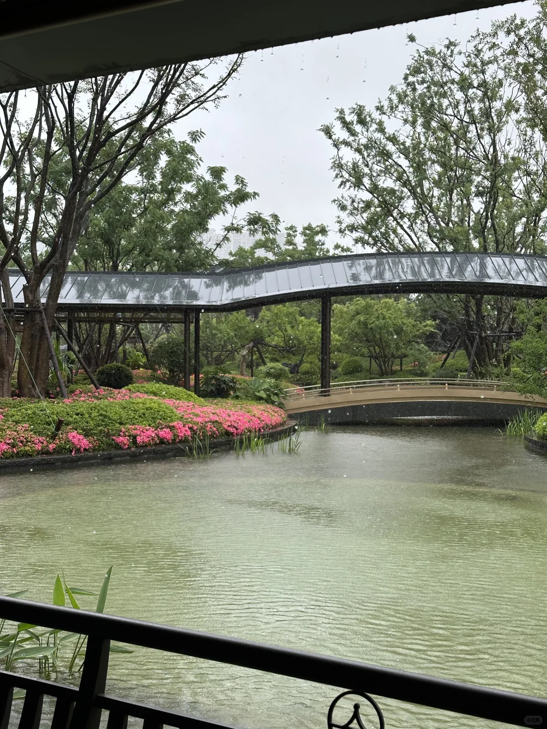 天呐 下雨天看房也太有感觉了
