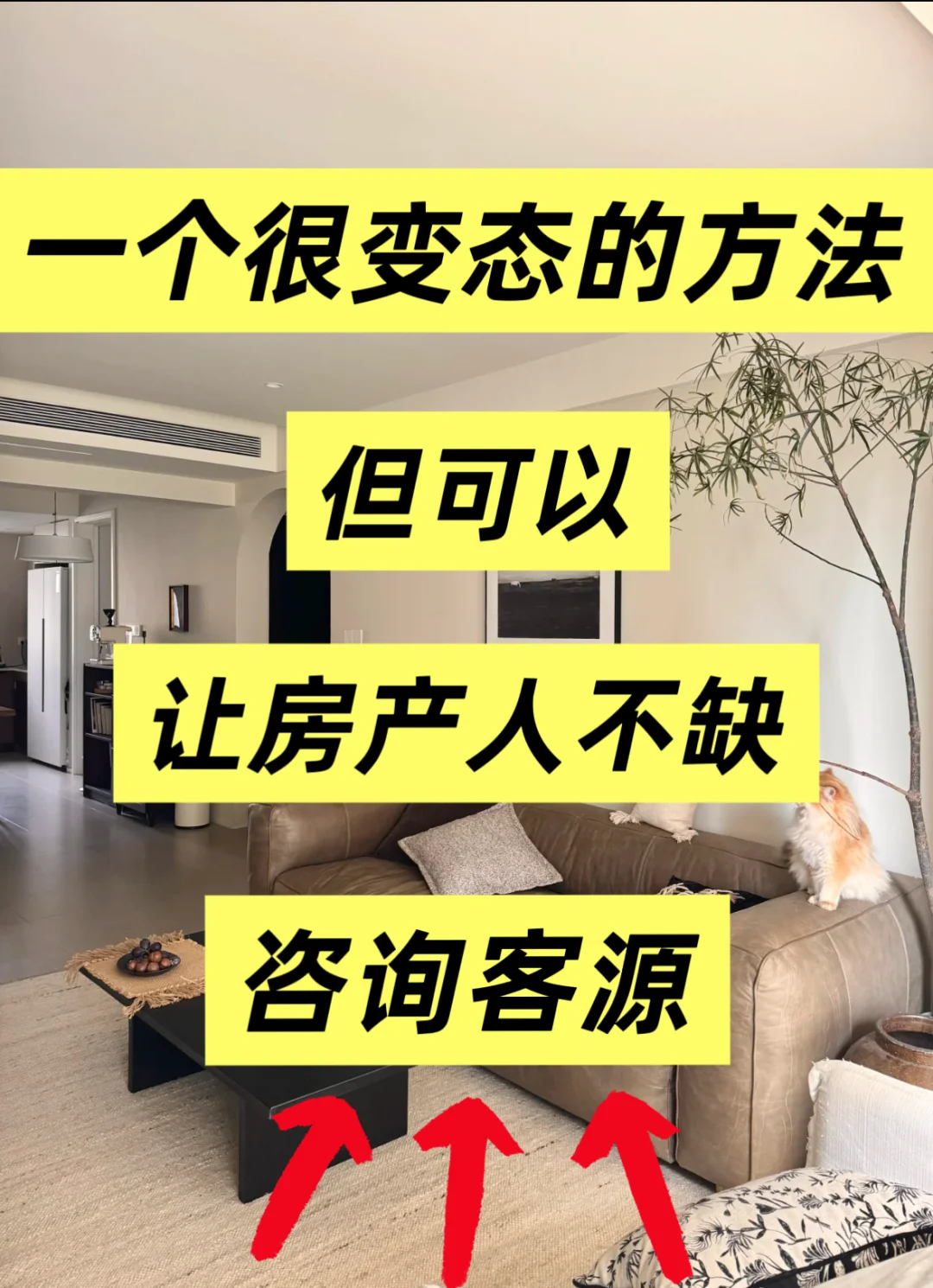  一套实用方法,让你房产咨询👉不缺客源