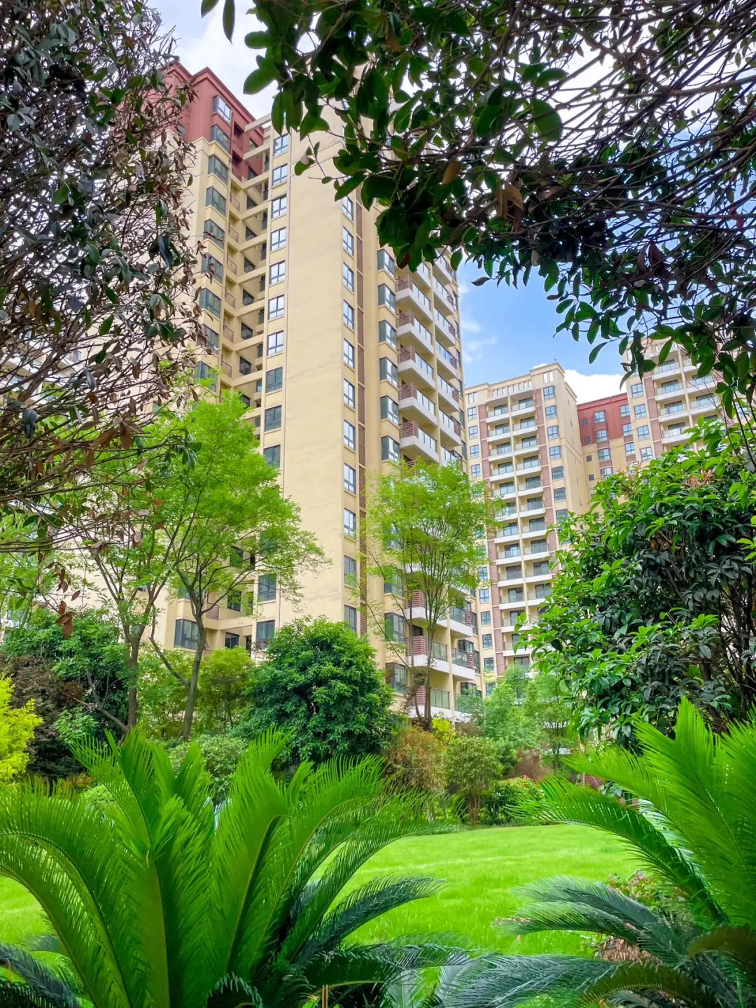 成都！！🏠终于有买得起的小户型了😭