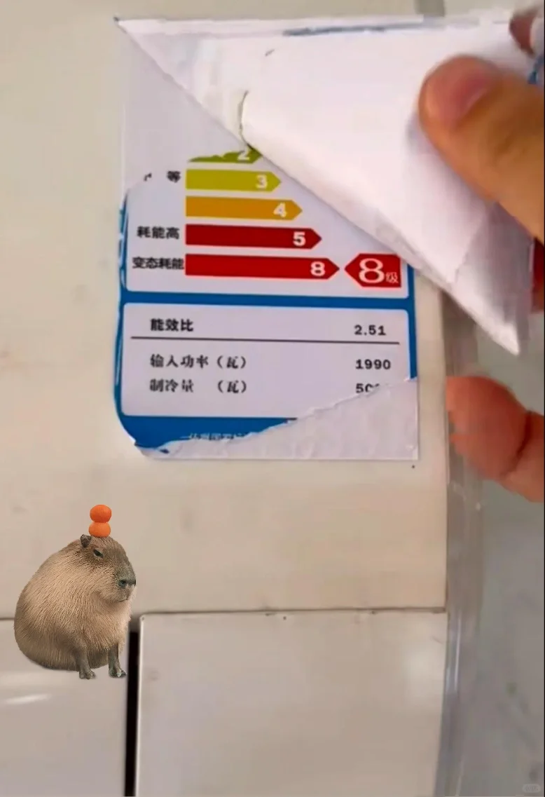 毕业生第一次租房，看个房到底往哪看啊🤔