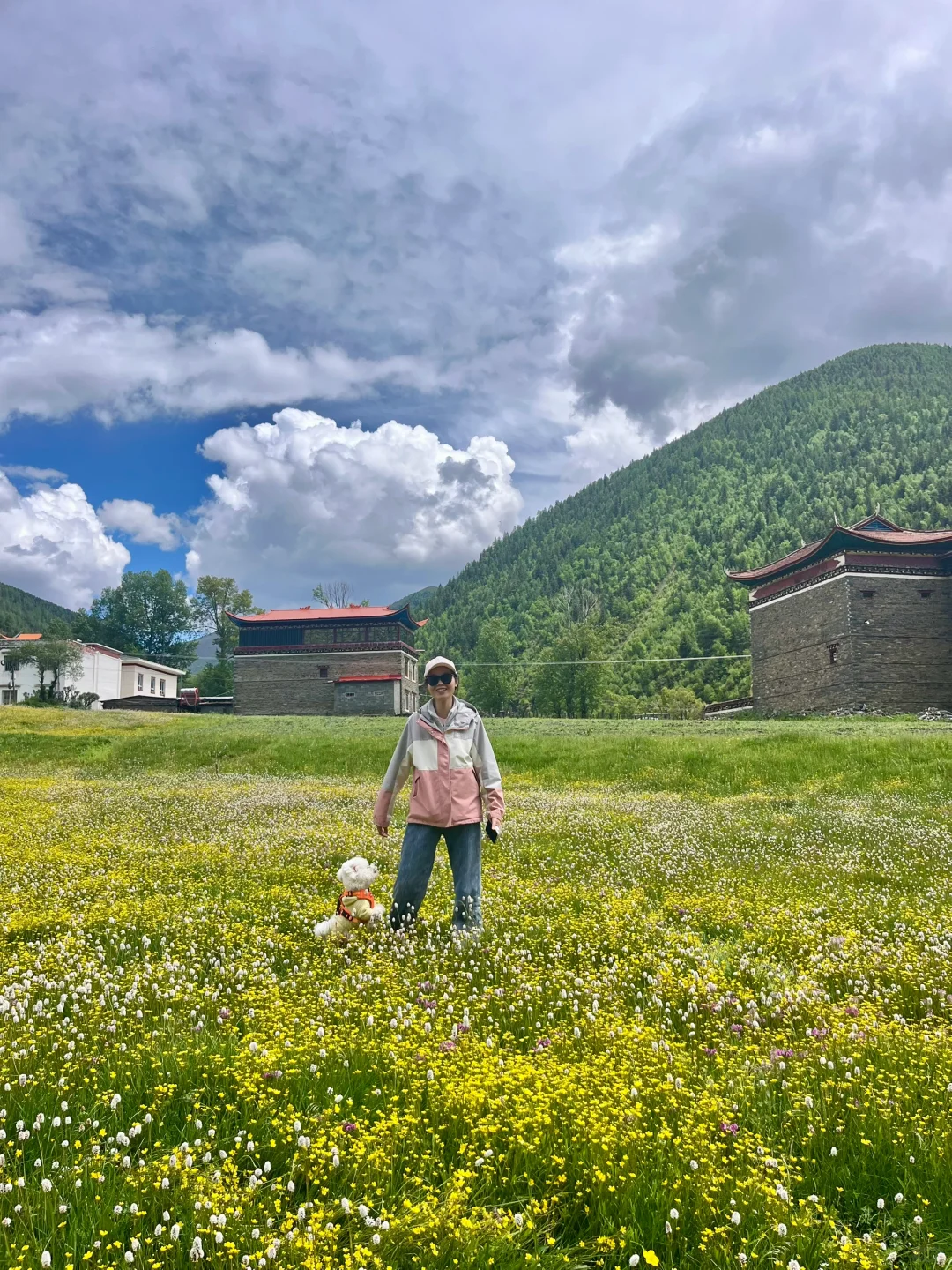 夏天，没有蚊虫烦恼的院子房住着好幸福☺️