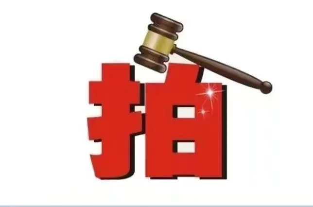 二次拍卖公告📣