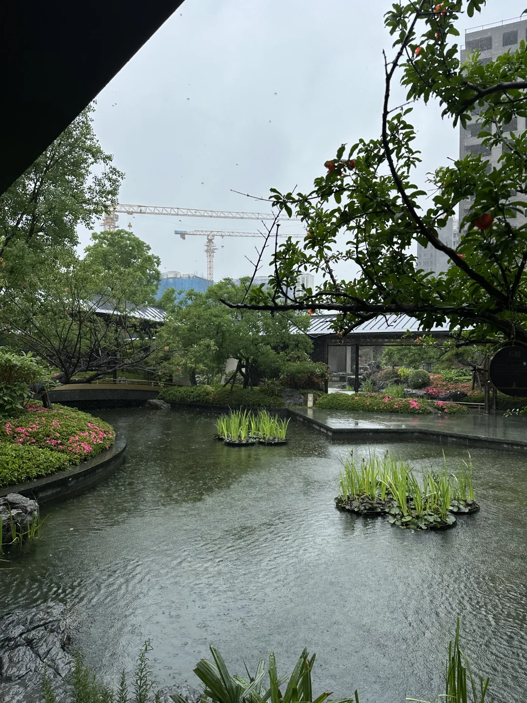 天呐 下雨天看房也太有感觉了