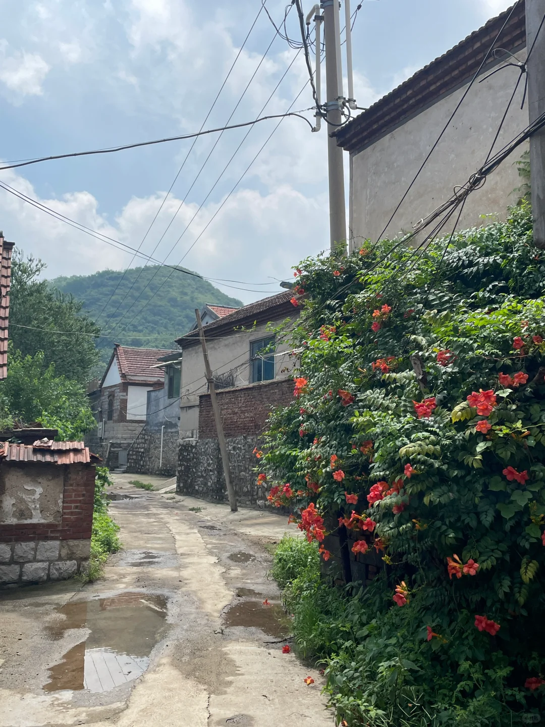 那些三万五万卖掉农村宅基地的人会后悔吗，