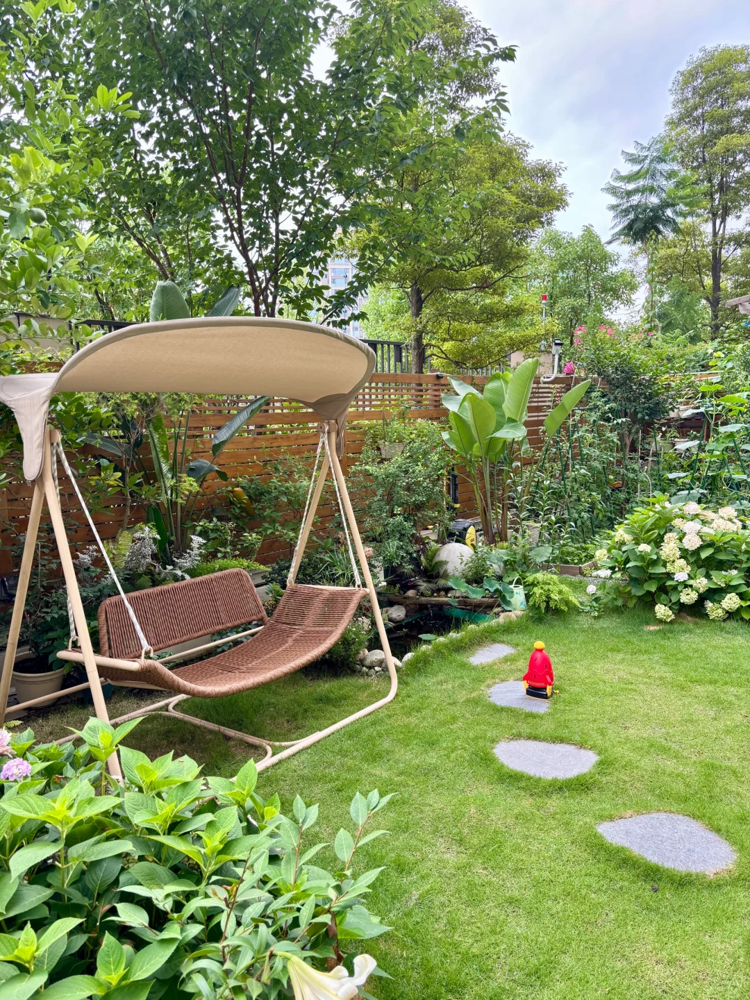 夏天，没有蚊虫烦恼的院子房住着好幸福☺️