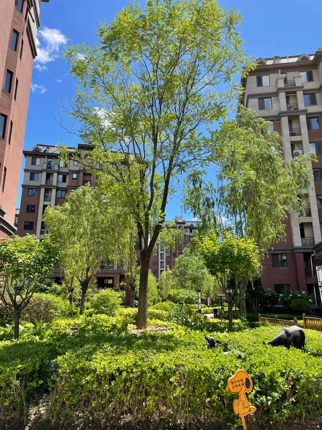 我终于花了一半价格拿下了我心心念念的洋房