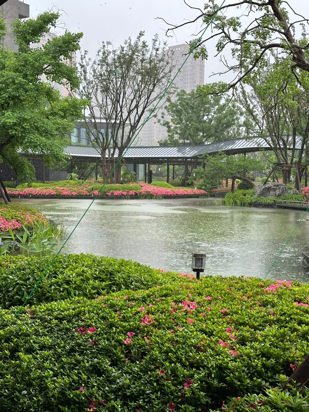 天呐 下雨天看房也太有感觉了