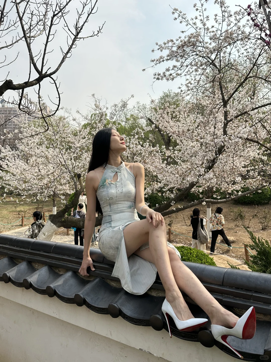 176 48 爱穿旗袍的中国🇨🇳女人