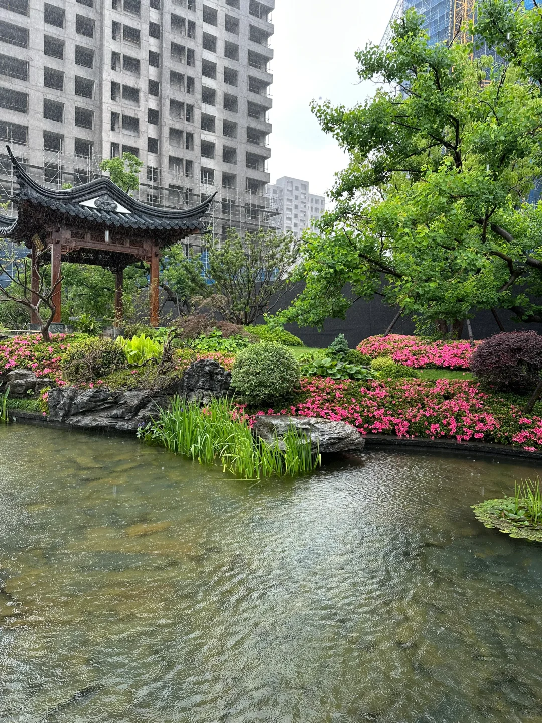 天呐 下雨天看房也太有感觉了