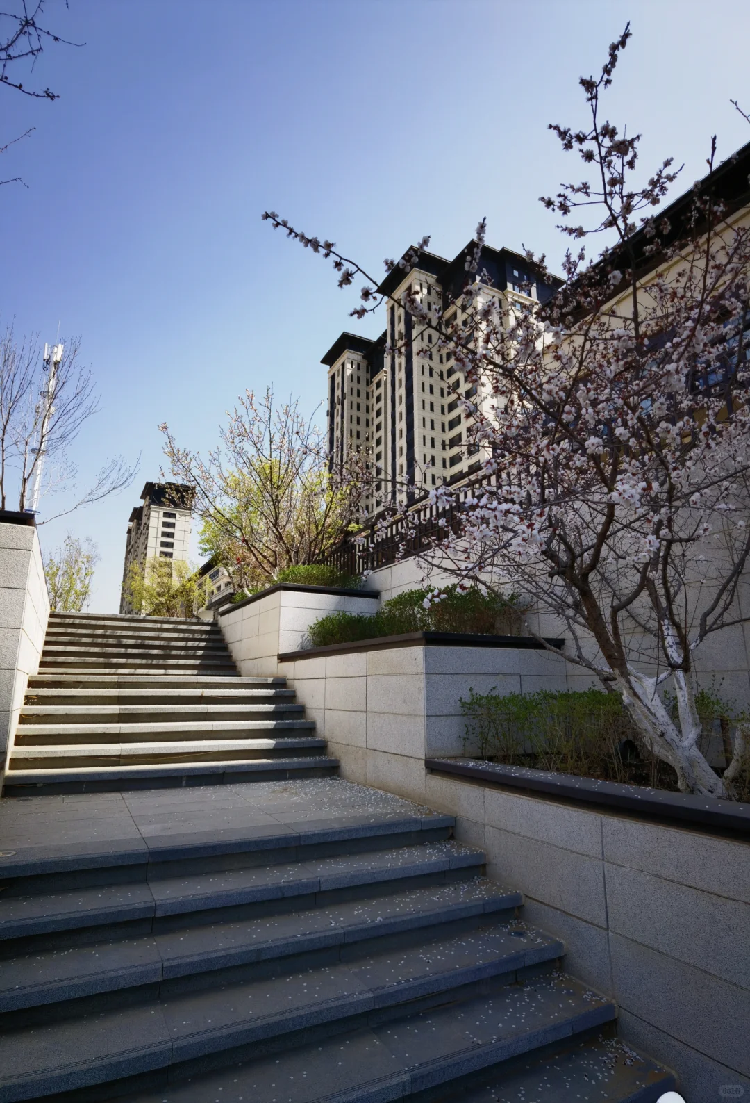张家口紫枫郡，山城最优雅居