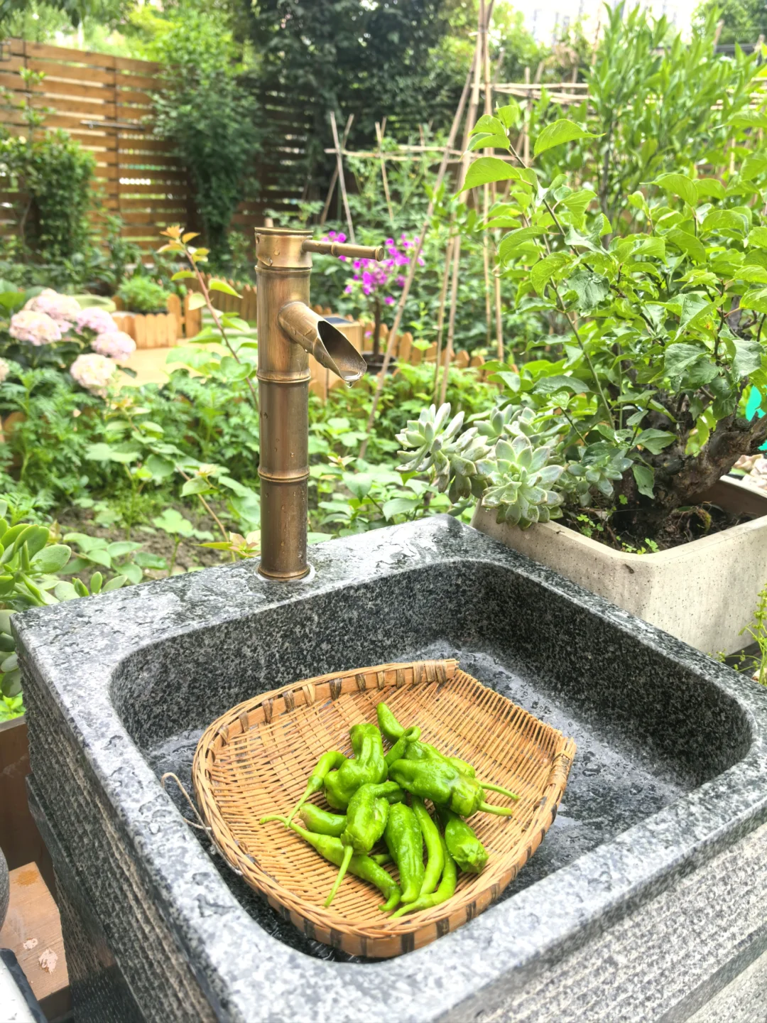 一楼带院，让我在城市过上田园生活～