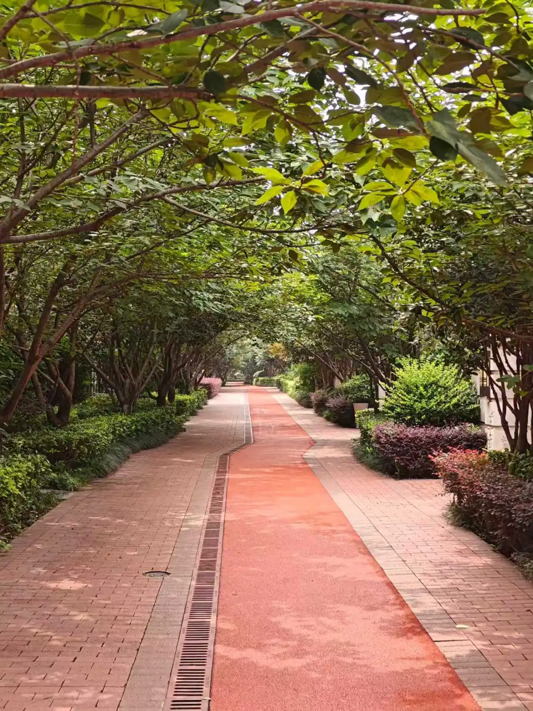 房东自售|合肥花园洋房 旭辉湖山原著 亏本
