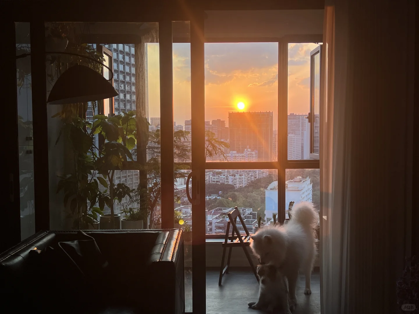 自己家的房子🏠出售啦！