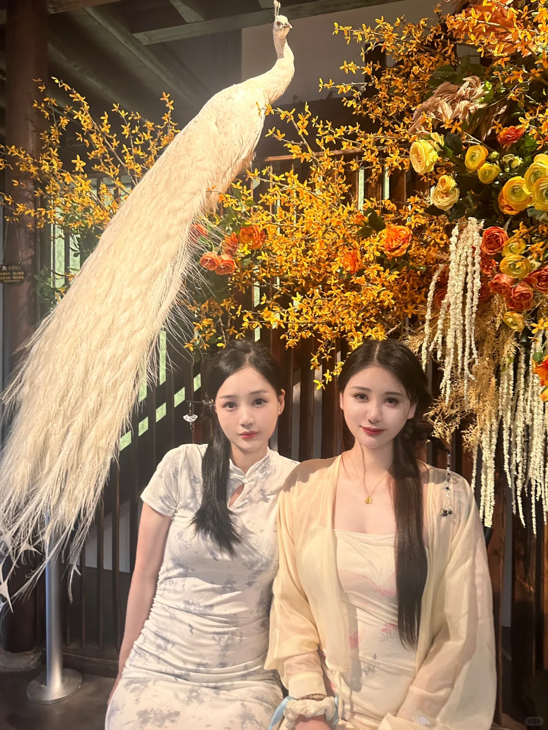 旗袍穿搭｜长脸VS圆脸 ❓怎么选旗袍