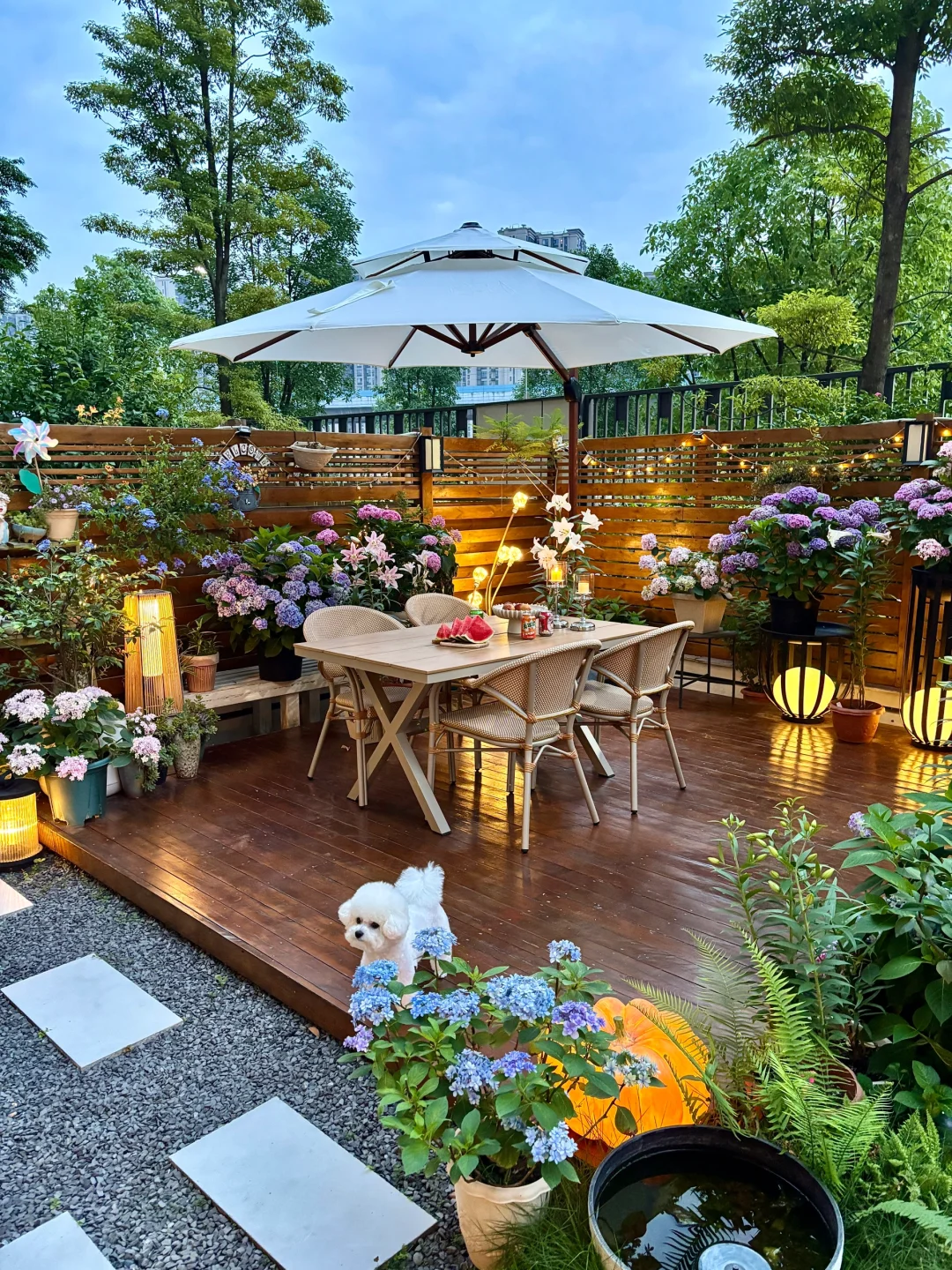 夏天，没有蚊虫烦恼的院子房住着好幸福☺️