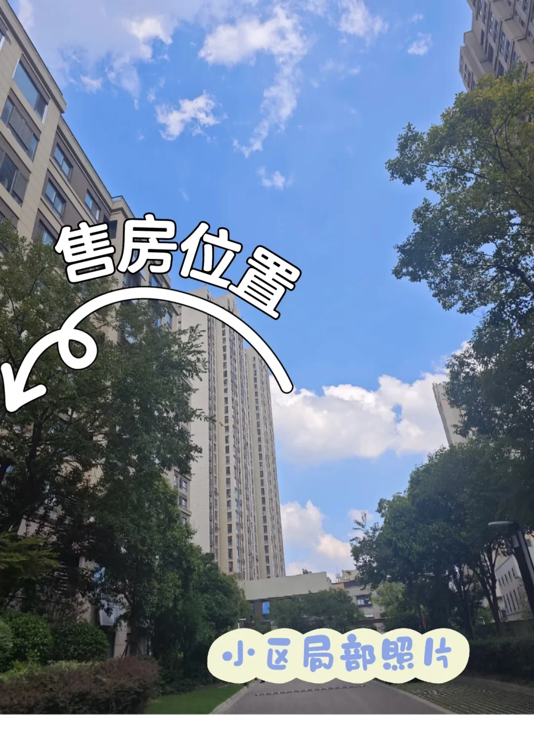市中心洋房出售