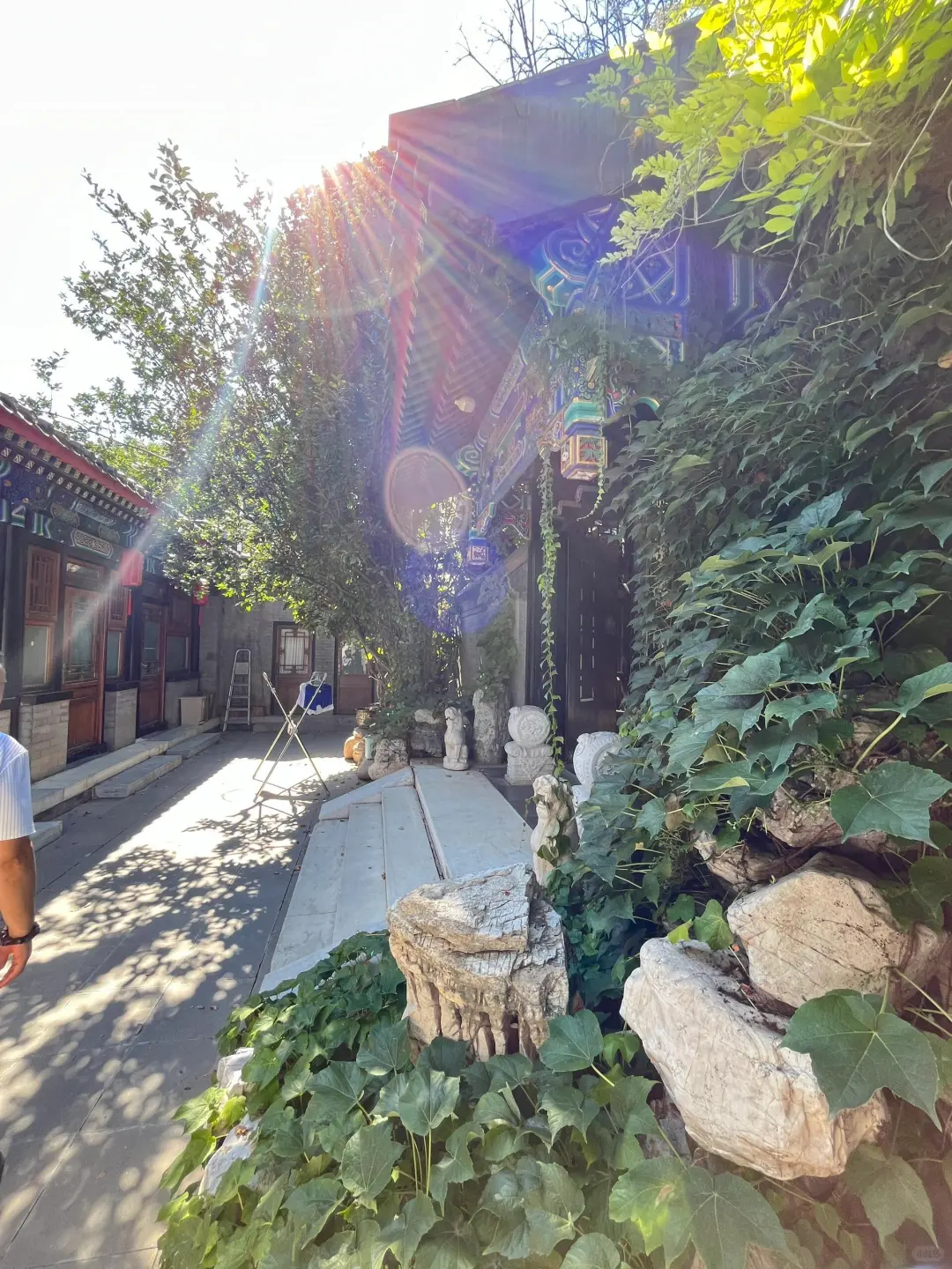 不敢想，要是住在这套院子，我会有多开朗~
