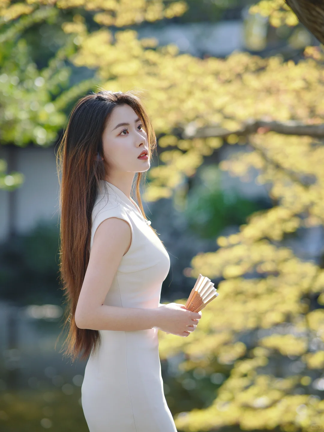 一袭青花落江南，步步生莲是宋韵