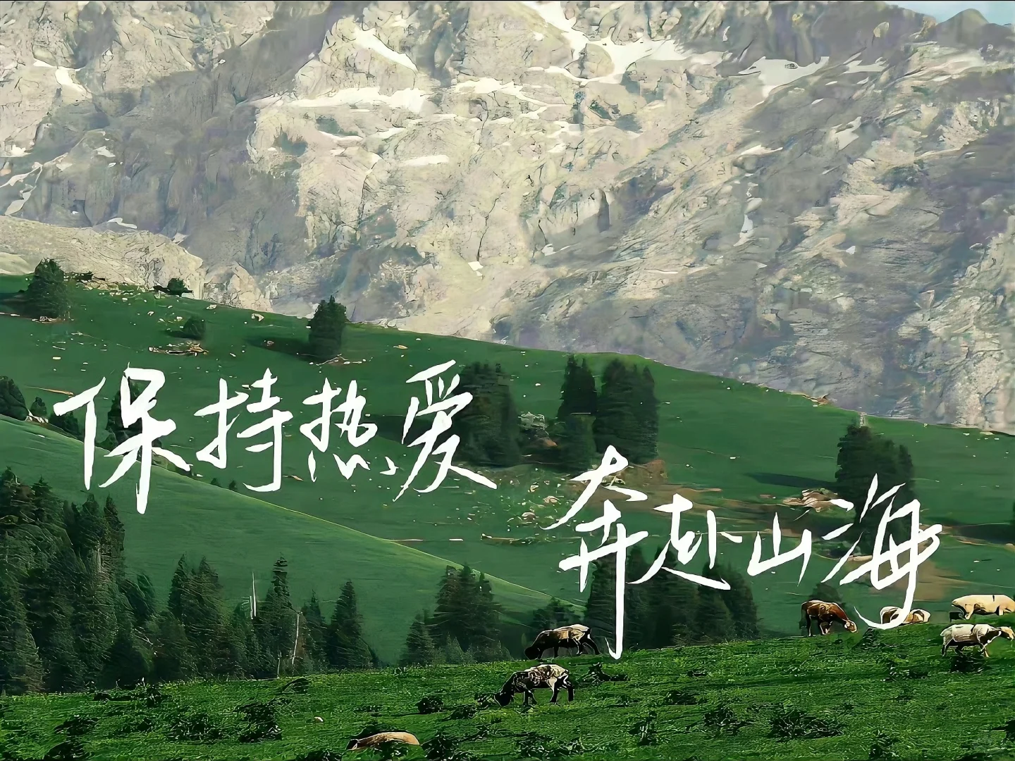 ipad壁纸｜轻舟已过万重山