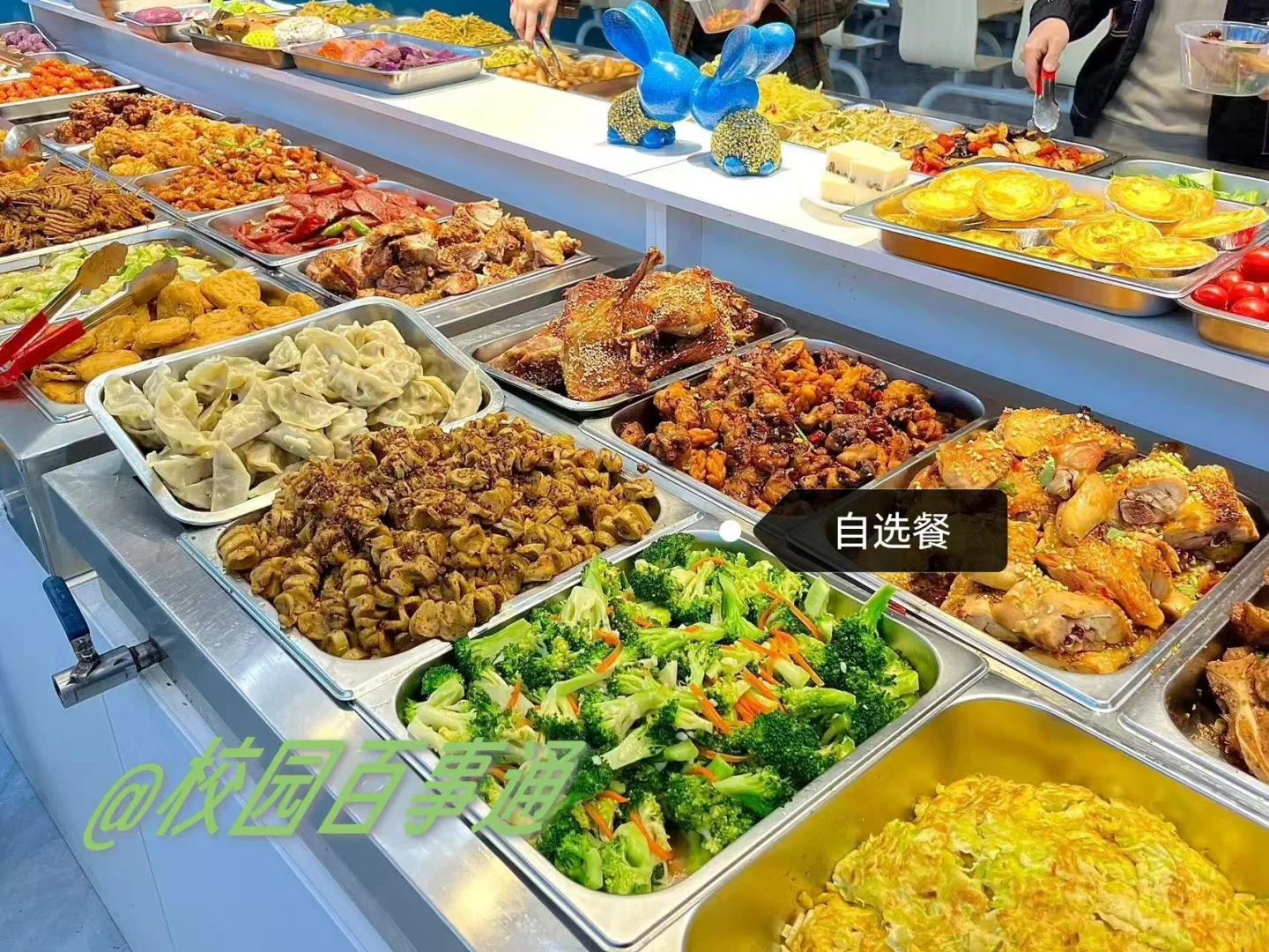 邯郸学院食堂介绍篇，25级宝宝有福了～