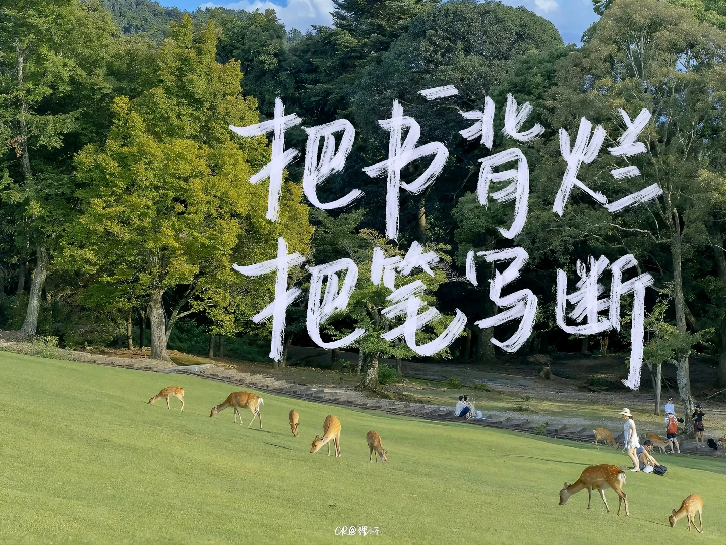 ipad壁纸｜轻舟已过万重山
