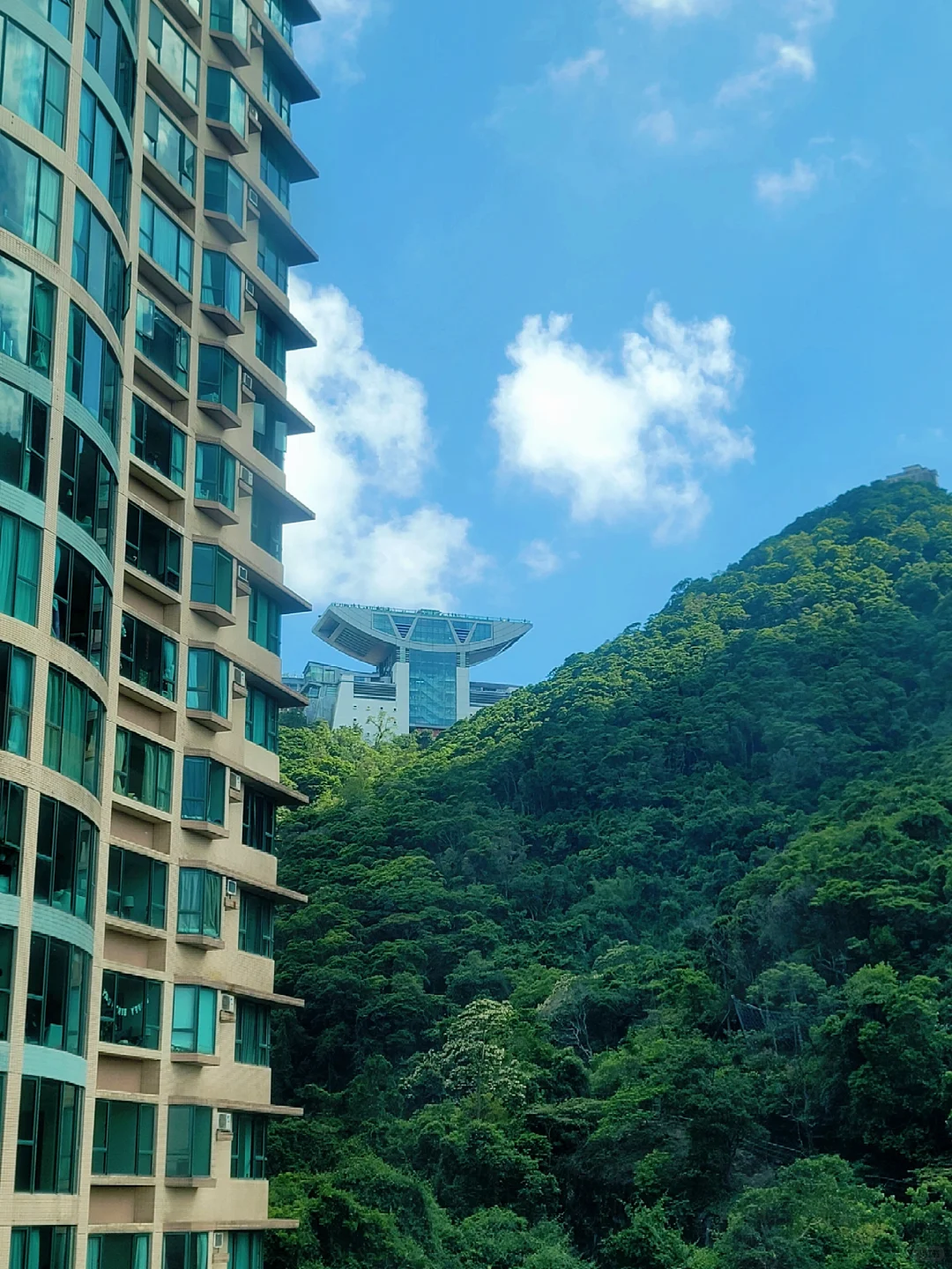 香港天后莫文蔚 8440W购入半山豪宅帝景園