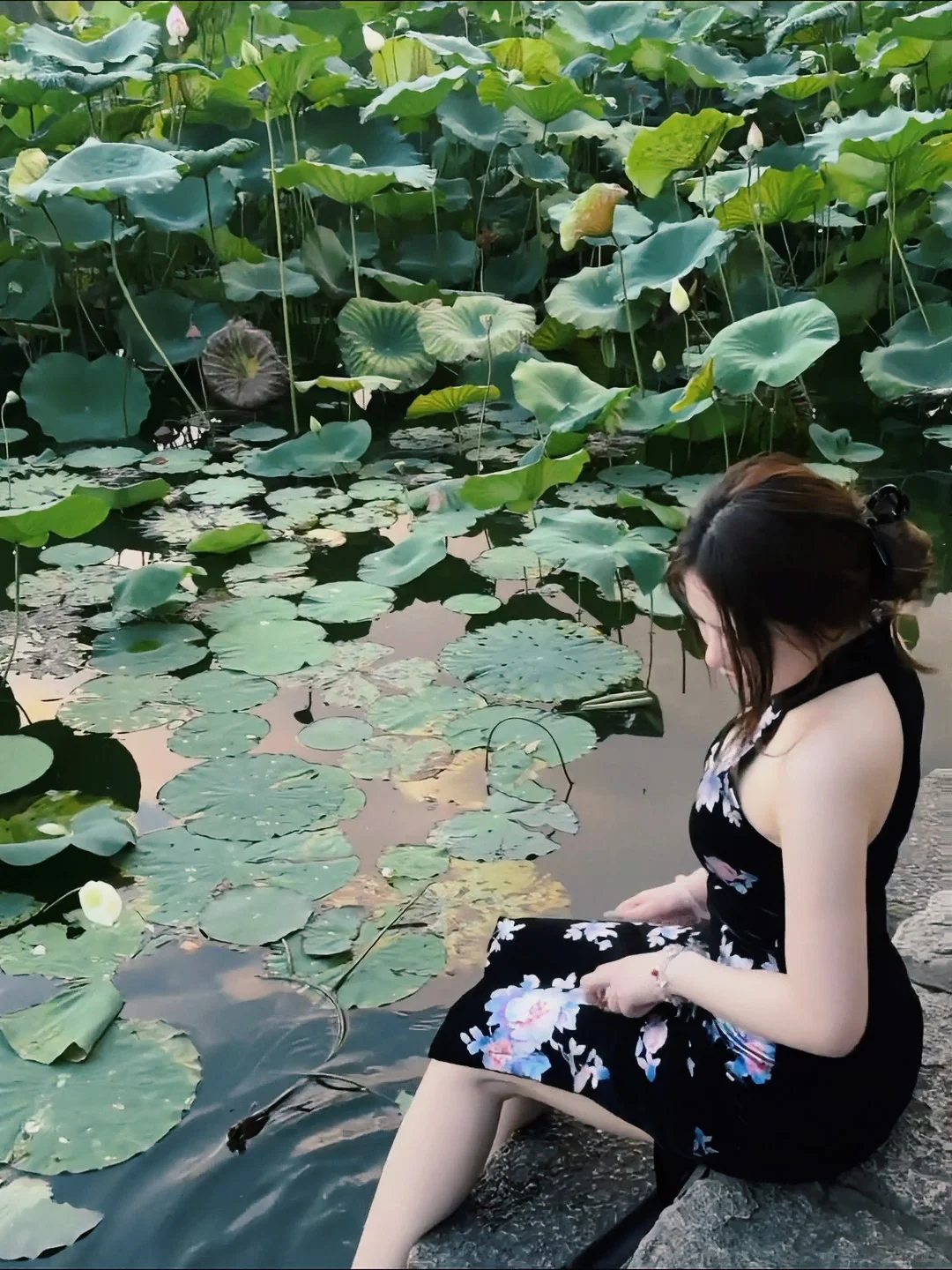 黑底旗袍和荷花池太搭配了！