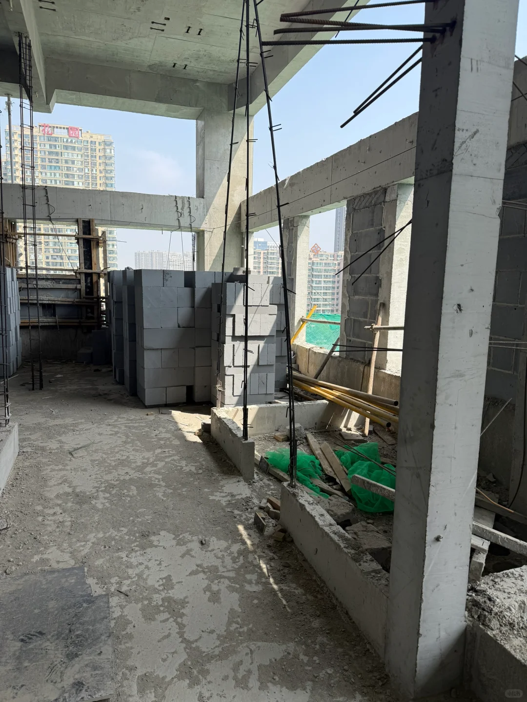 公寓狗都不买