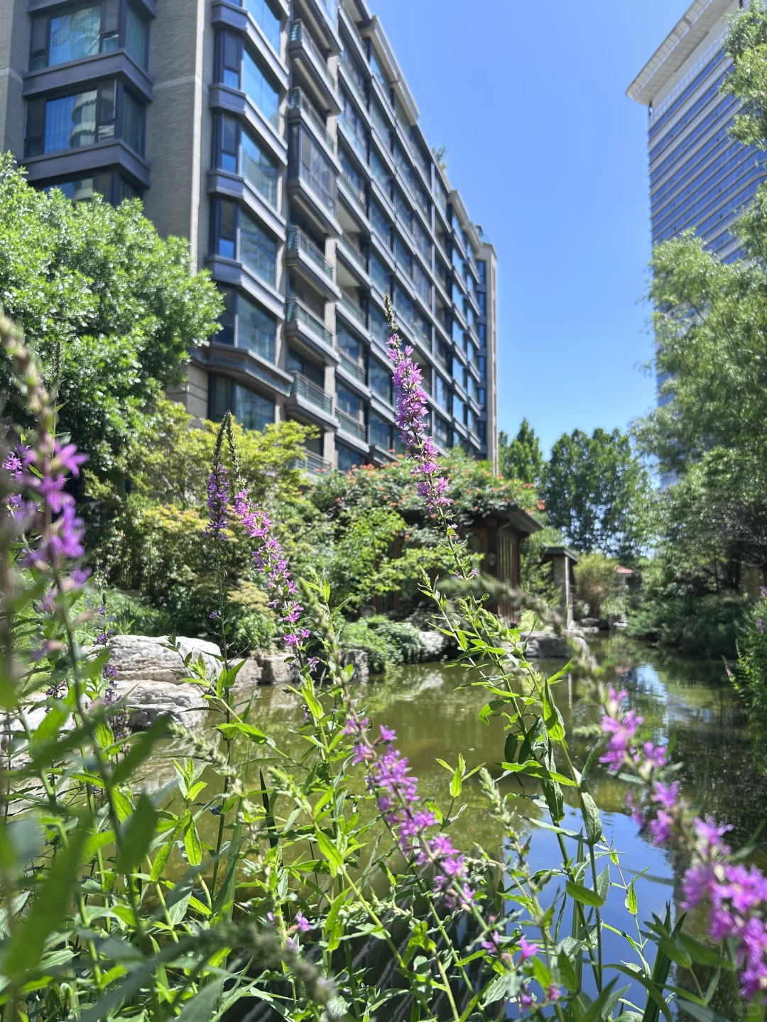这是你梦寐以求的房子吗🏘️