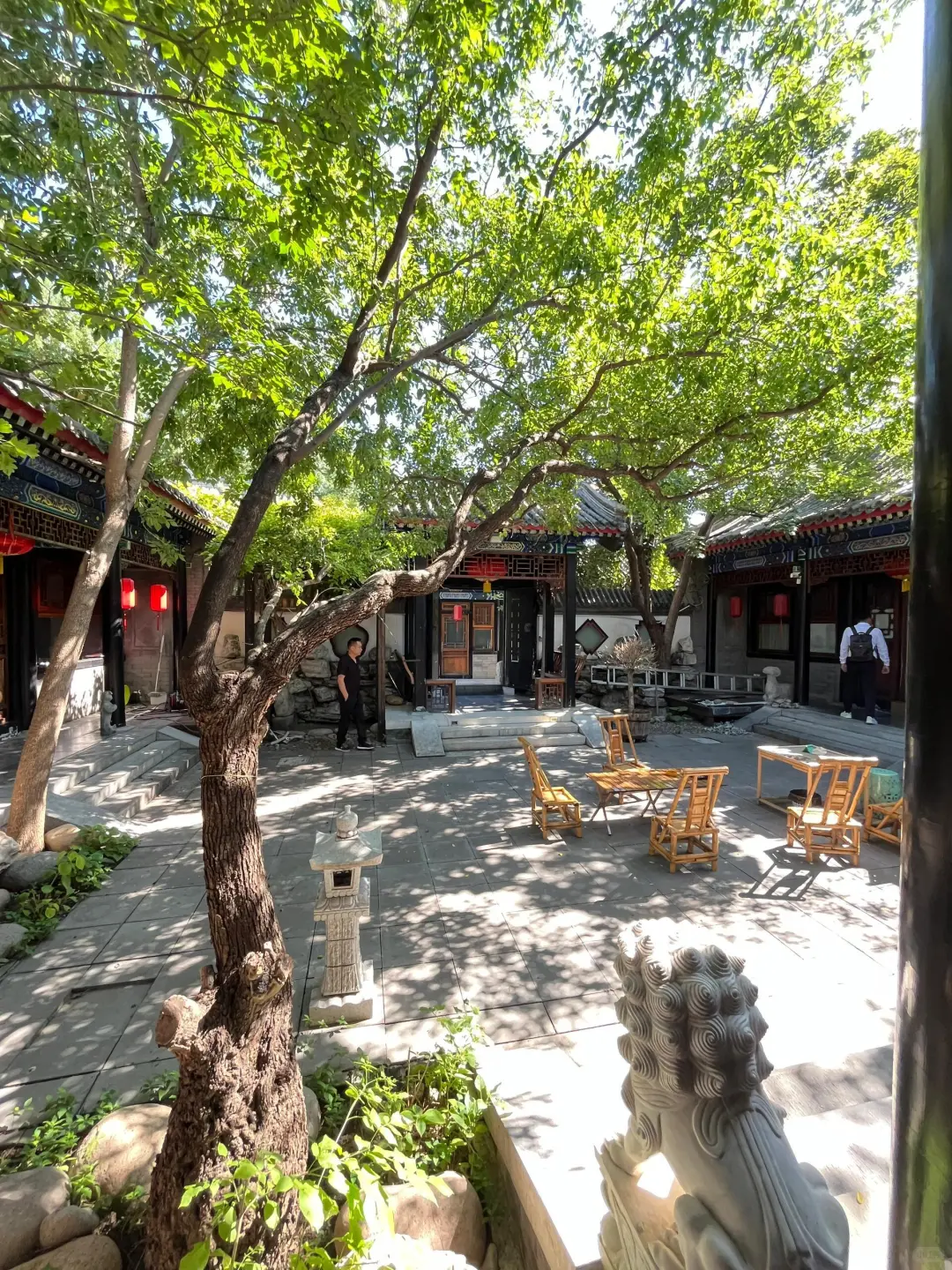 不敢想，要是住在这套院子，我会有多开朗~