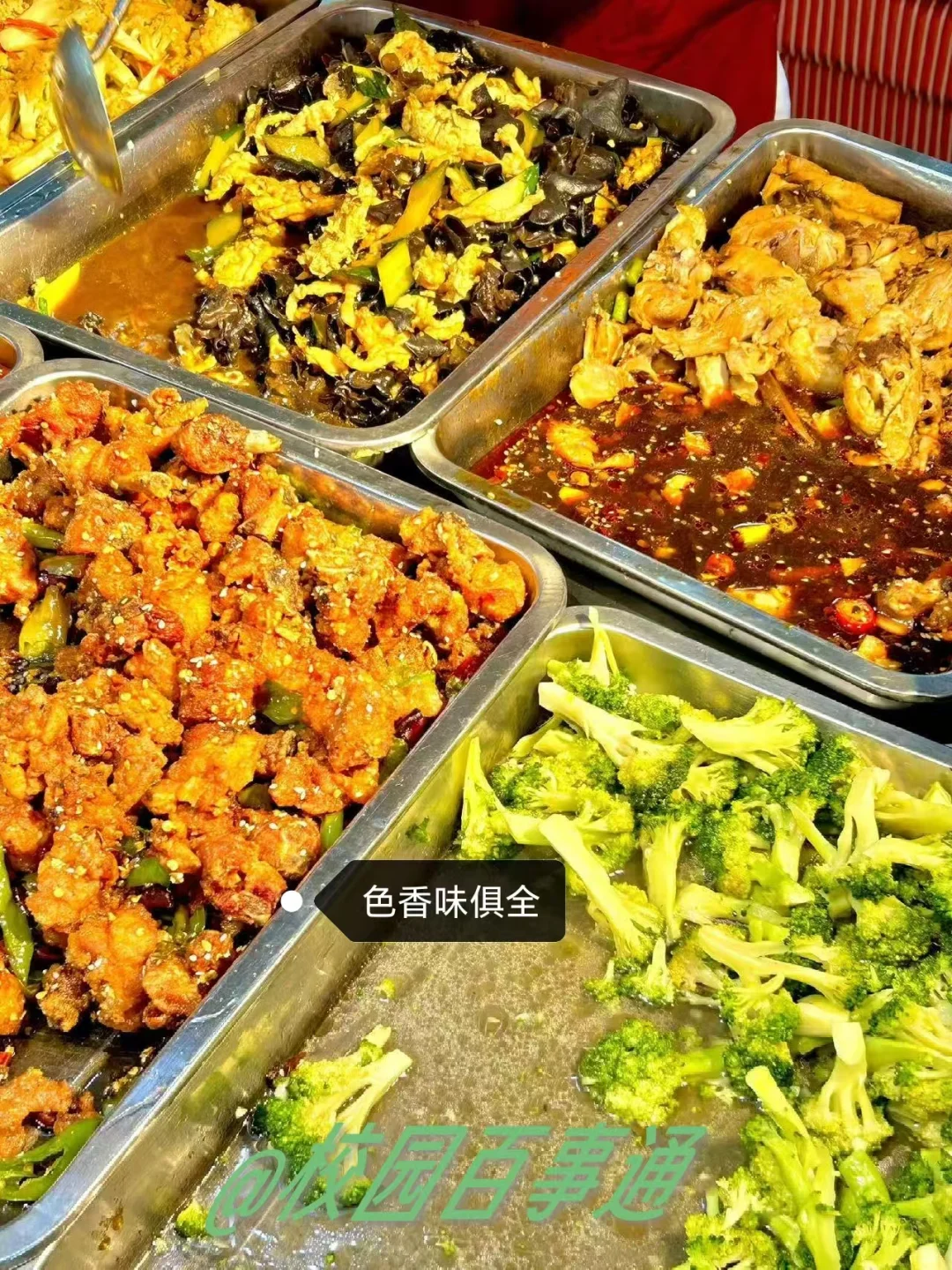 邯郸学院食堂介绍篇，25级宝宝有福了～