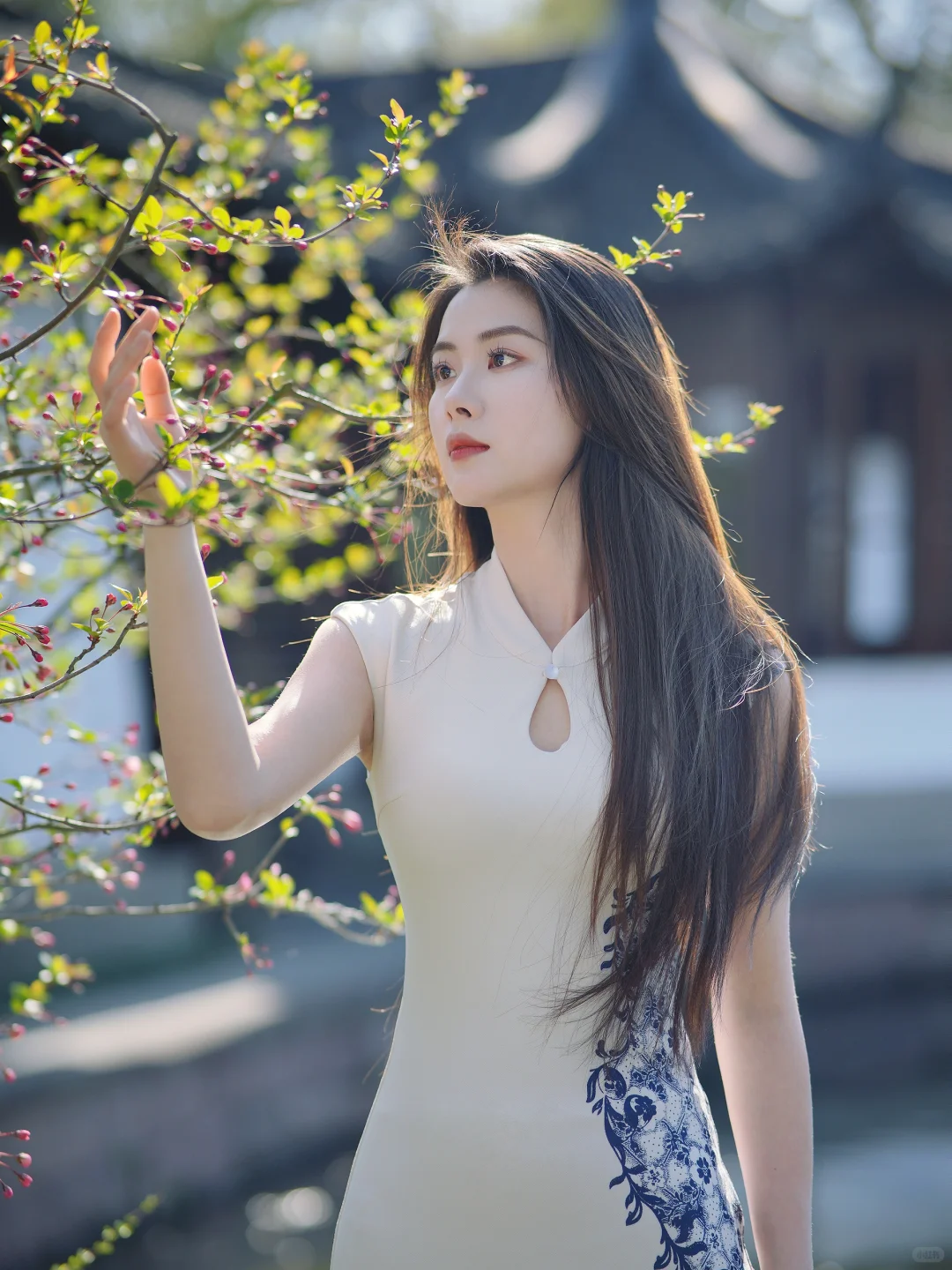 一袭青花落江南，步步生莲是宋韵