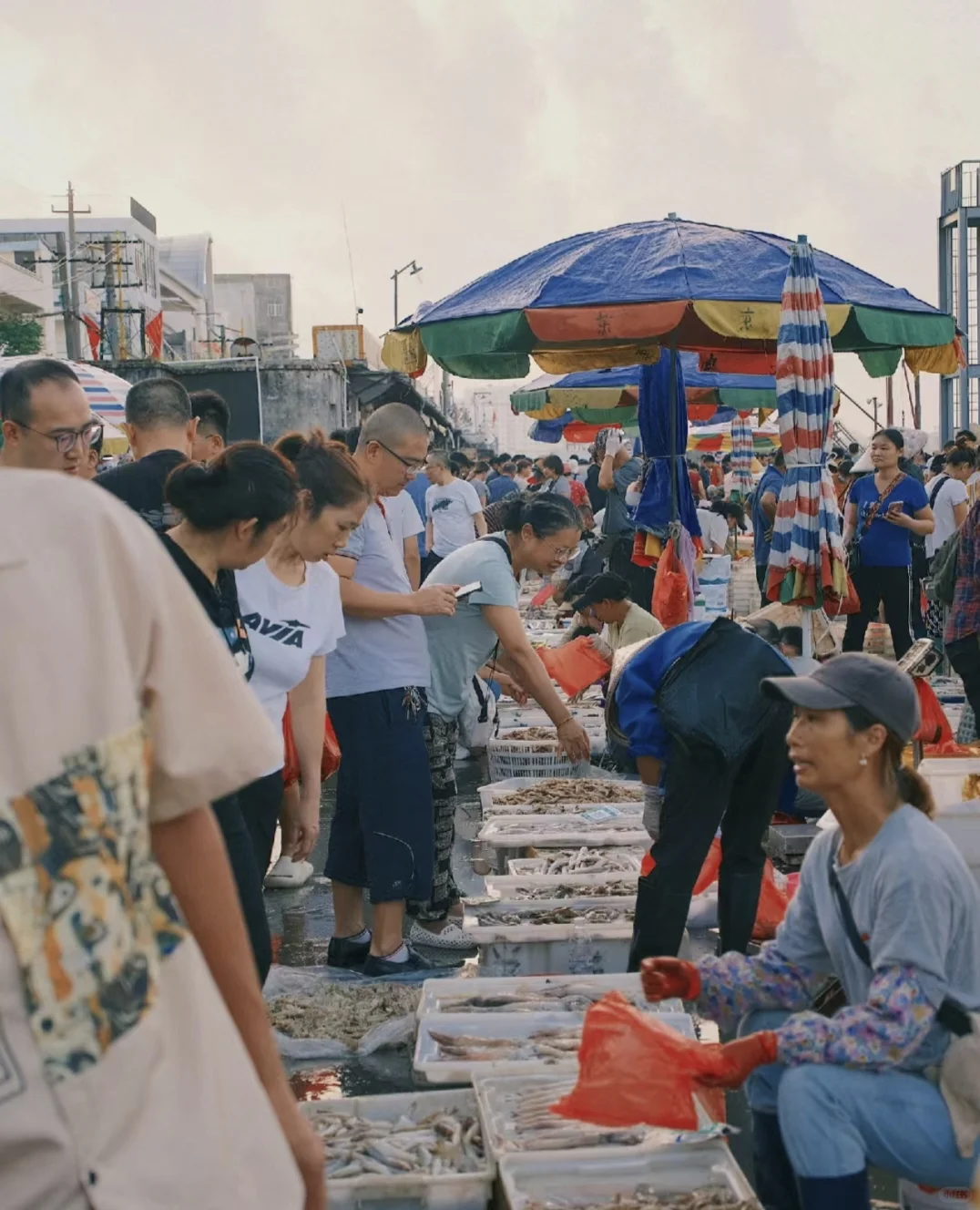 比海南还舒服的旅居小镇，全年无寒无霾