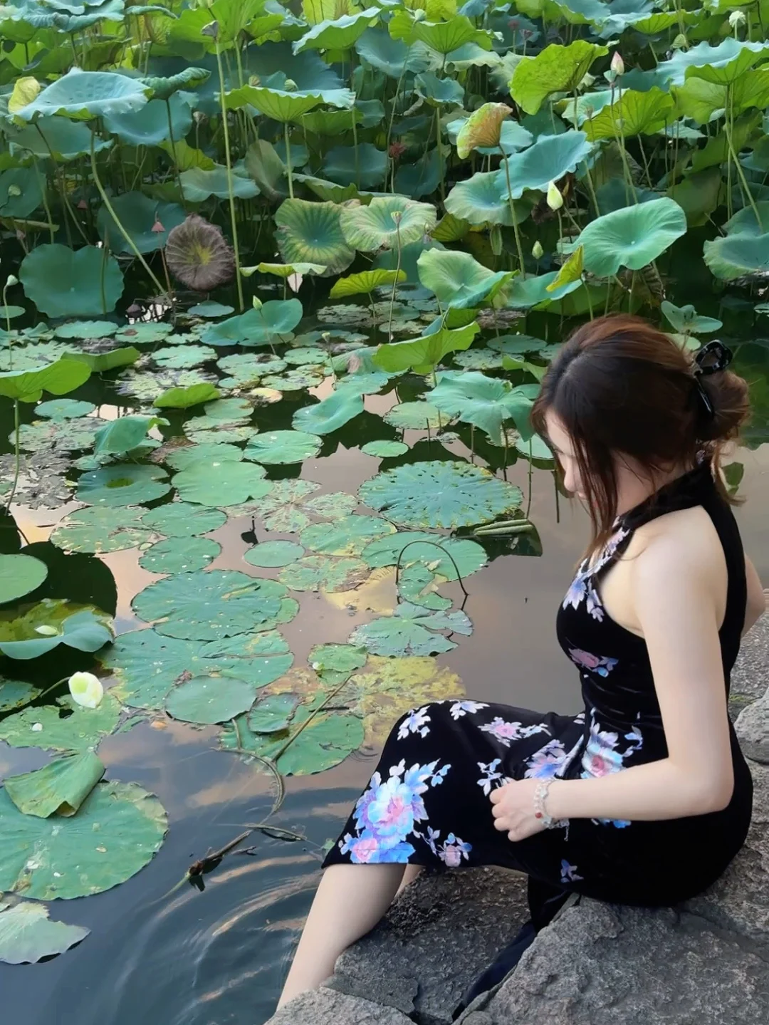 黑底旗袍和荷花池太搭配了！