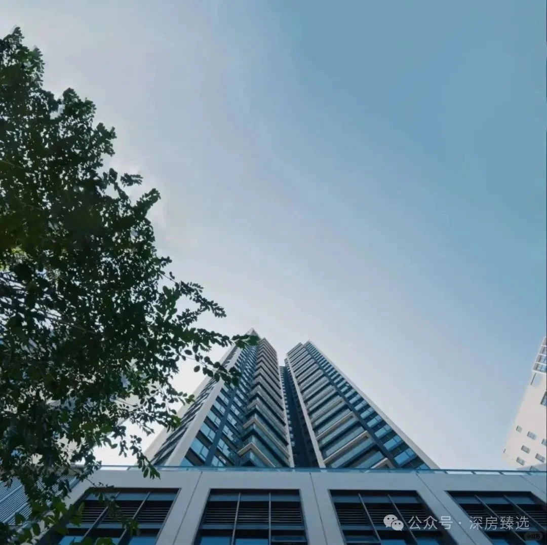 深圳买房首付14万⁉️ 光明准现房杀疯了！